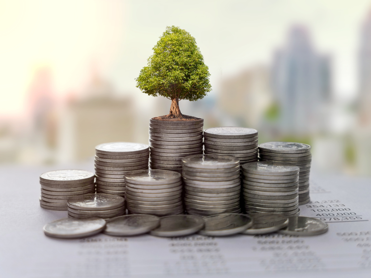 Investment Service in Salem